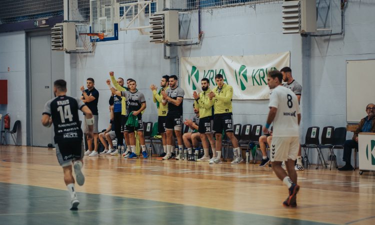 Krka - Slovenj Gradec 32:26