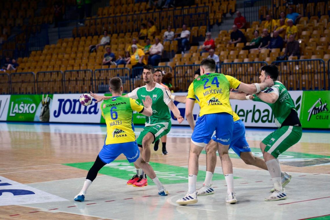 Rokometaši Celja Pivovarne Laško so doma premagali Krko s 37:32