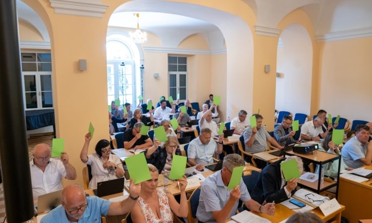 Ponoven poziv k trajni rešitvi za osebe z motnjami v razvoju v Zgornji Savinjski dolini