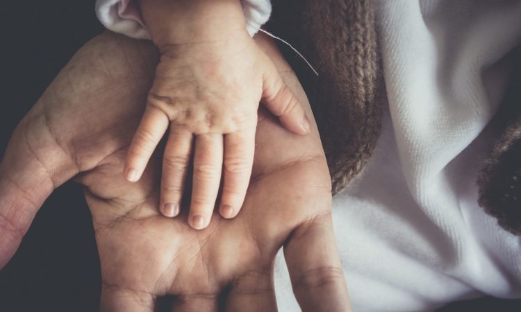 18 milijonov evropskih sredstev za prenovo sistema socialnega varstva