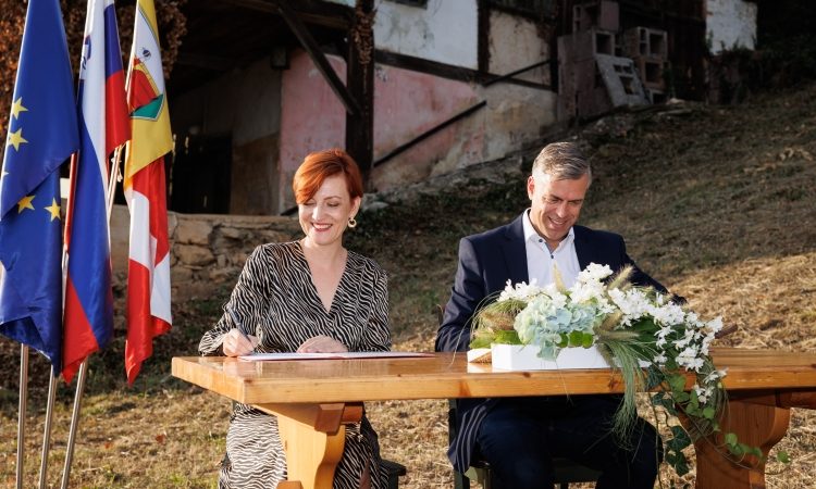 Obnova Kozinove zidanice na Trški gori