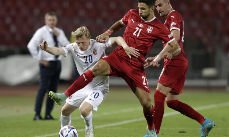 Švedska - Srbija 0:1
