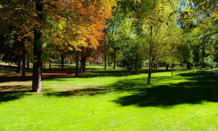 V Velenju odpirajo Park državnosti
