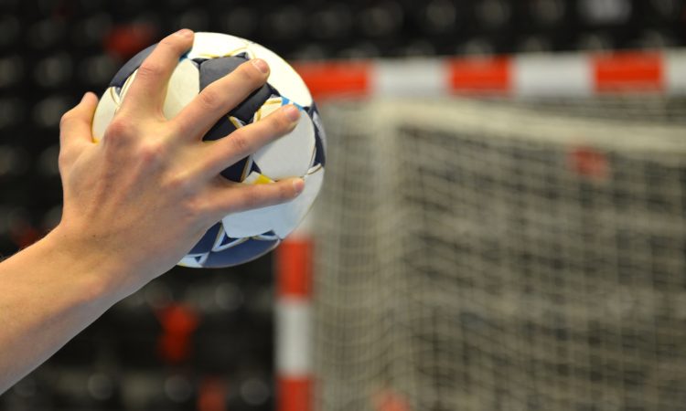 Celje Pivovarna Laško - Krško 38:27 (17:18)