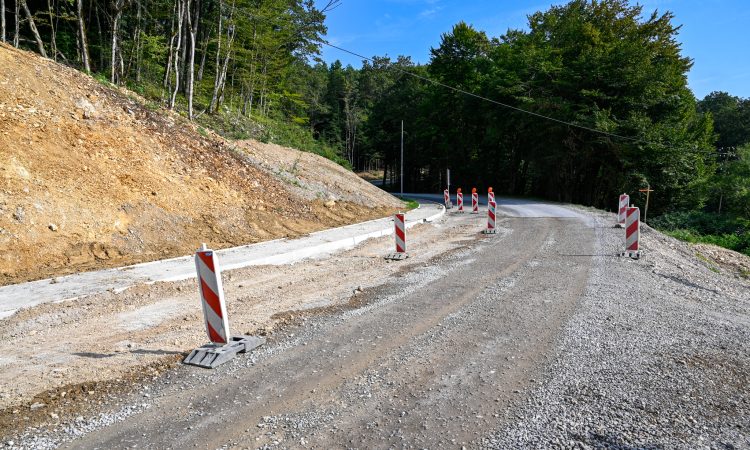 Čez vikend zapora državne ceste v Birčni vasi