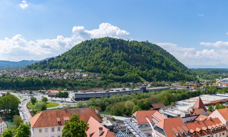 Na pobočju Šmarjetne gore zasadili 300 dreves