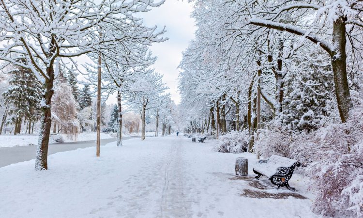 Na Hrvaškem danes močan veter in sneg, pobelilo tudi BiH in dele Srbije 