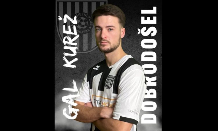 Kurež okrepil Rogaško