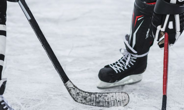 Na tekmi NHL med Minnesoto in Vancouvrom kar 17 golov