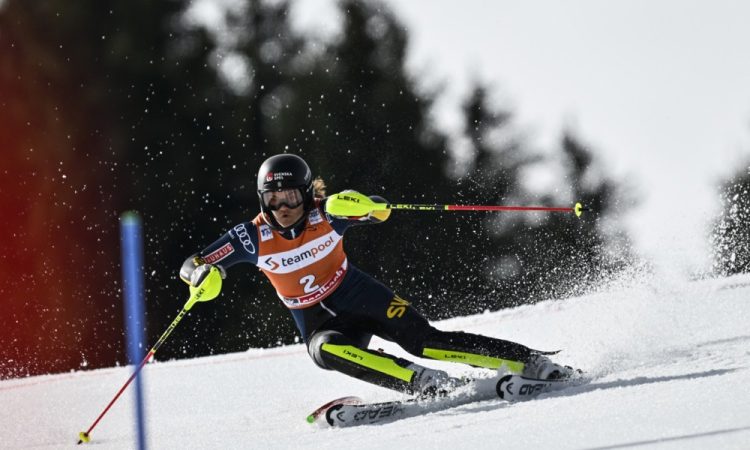 Shiffrin 97. zmaga, Dvornik s četrtim mestom do izida kariere