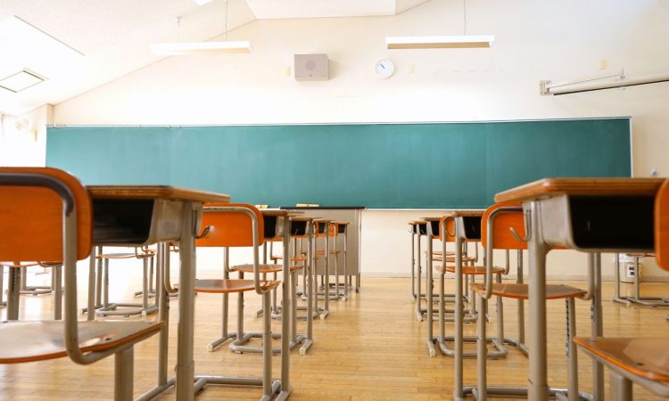 Ljubljanski mestni svetniki potrdili prilagojeni program v sedmih šolah