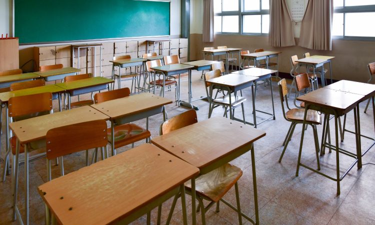V Sežani ustanavljajo visoko strokovno šolo za oblikovanje materialov