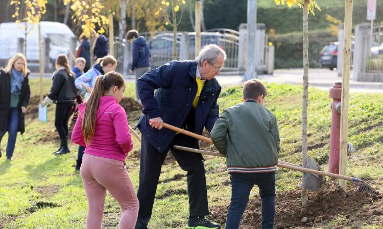 V okviru izziva Trees in Cities do konca leta v Celju še 200 dreves