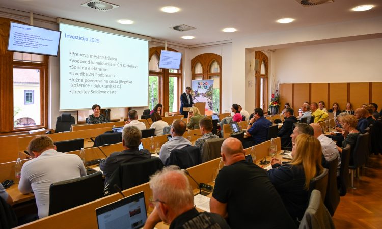 Potrjen proračun Mestne občine Novo mesto za leto 2025