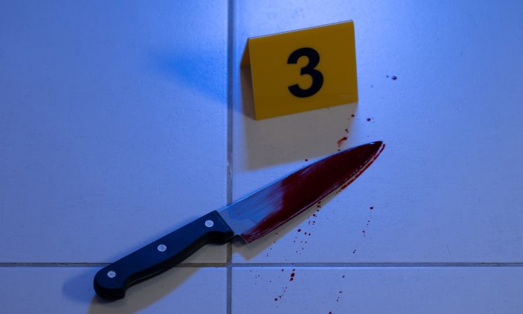 Večer: Ženo pokojnega športnega novinarja Tihca čaka zatožna klop