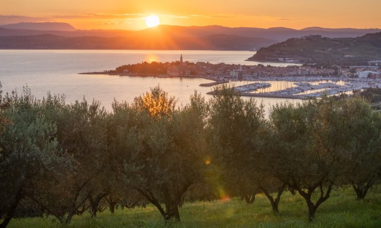 Izola ponovno zlata