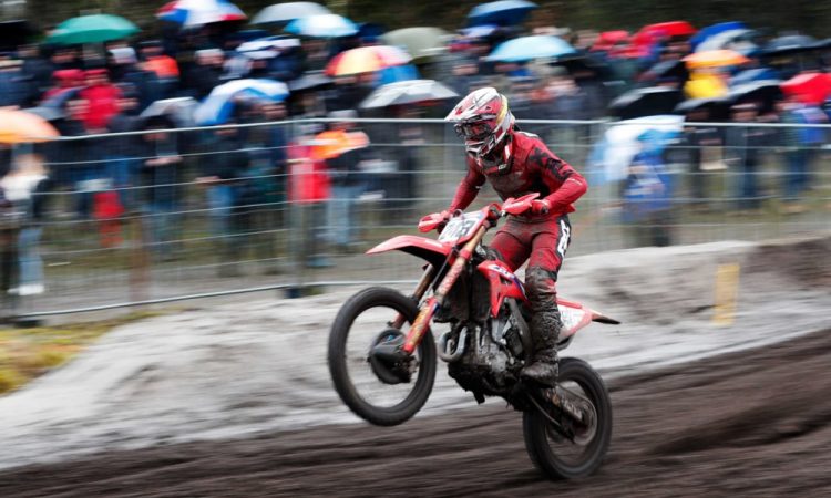 Herlings zmagovalec Lommla, Gajser četrti