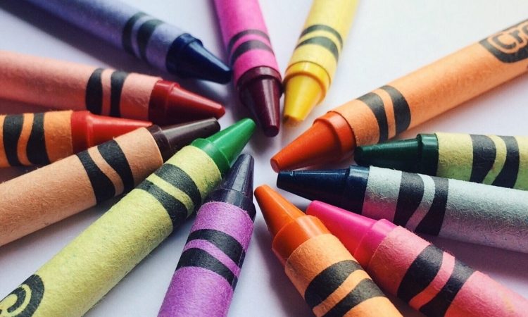 Osnovna šola Frana Erjavca Nova Gorica najuspešnejša na razpisu sklada za male projekte