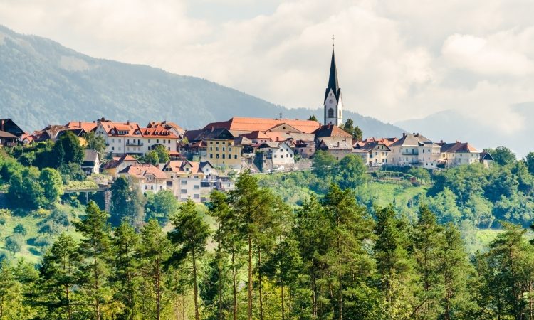 Na sotočju Save pri Radovljici znova težave s smrdečo goščo