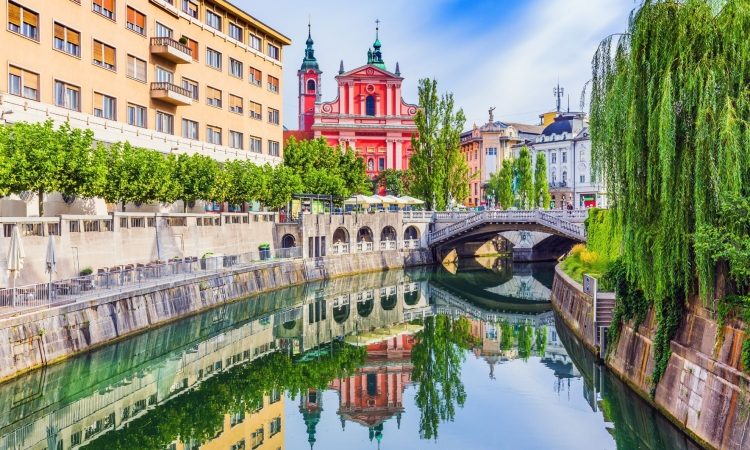 Ljubljana nadaljuje ozelenjevanje avtobusnih nadstrešnic