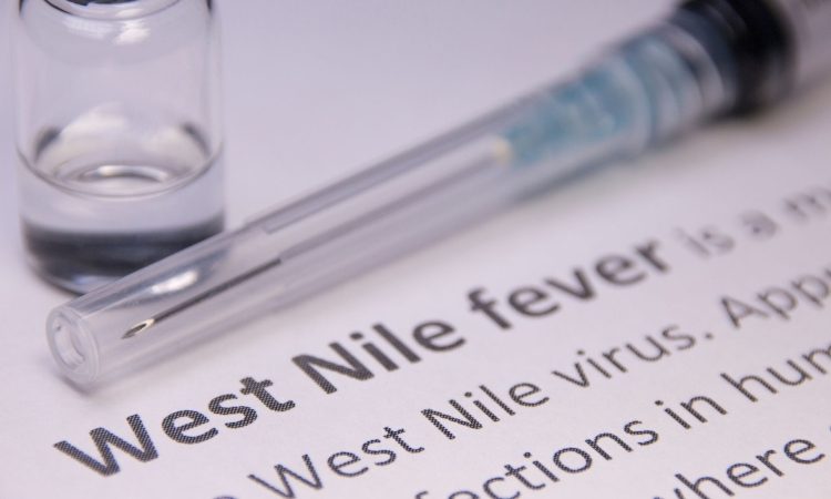 Virus Zahodnega Nila potrjen pri štirih sivih vranah v Ljubljani