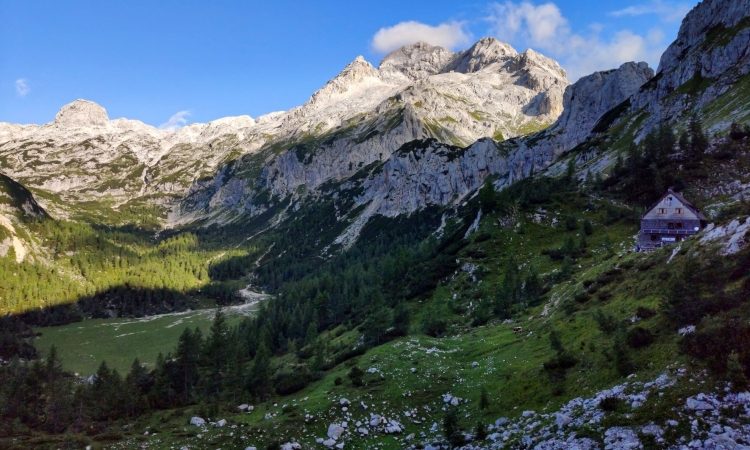 Ob praznovanju stoletnice predhodnika TNP tudi razstava in simpozij