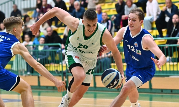 Košarkarji Krke doma premagali kranjski ECE Triglav Kranj