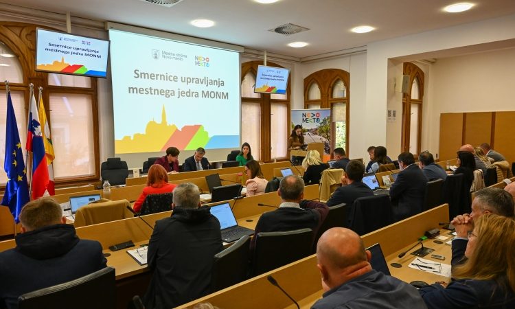 Novo mesto z novimi smernicami za mestno jedro in širitvijo stanovanjske soseske v Bučni vasi